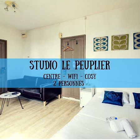 Апартаменты Studio Le Peuplier Дижон Экстерьер фото